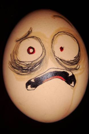 17410411_885234101618793_2021541723_n