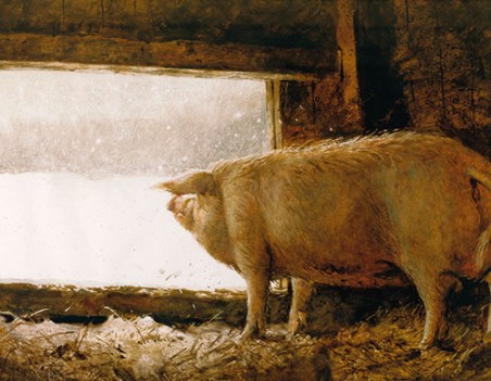 Wyeth_Pig Looking