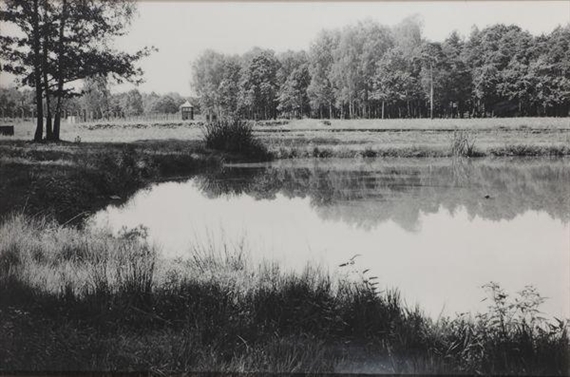 Polish Landscape, Auschwitz-Birkenau, di Simcha Shirman