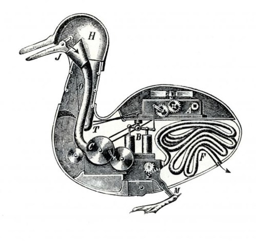 Canard Automatique