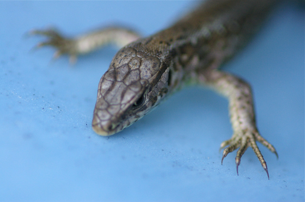 3778299749_3526700907_b