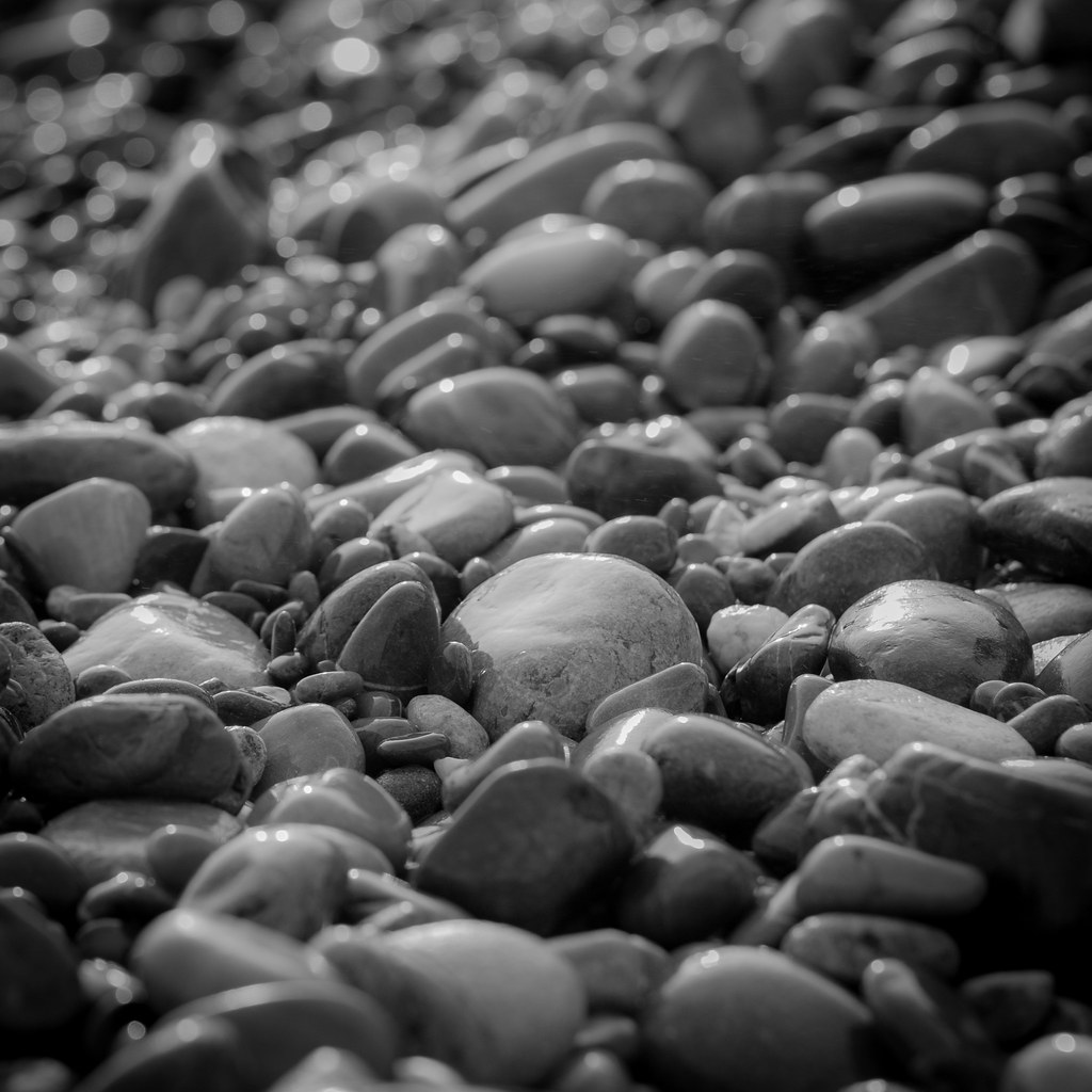 10870227223_6997ca31d4_b (1)