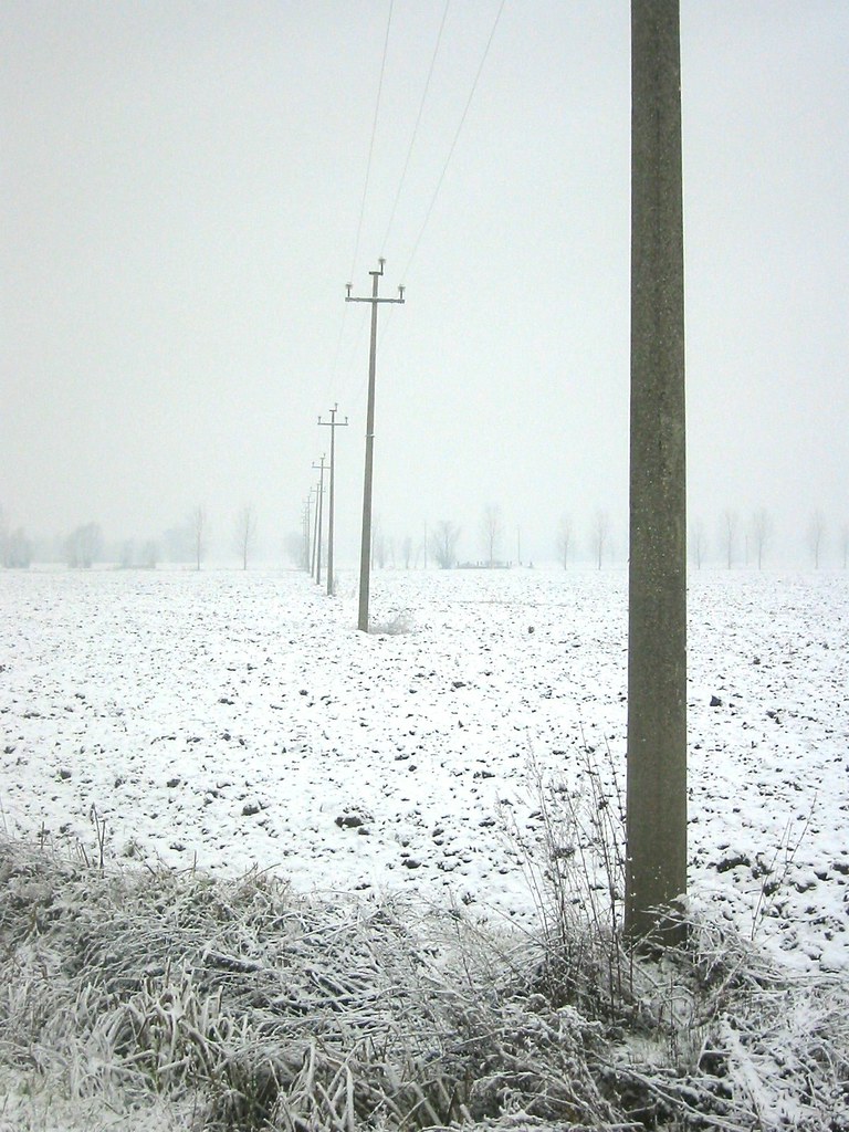 88184820_38fa14dabd_b