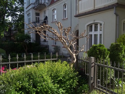 36754350342_15b196d05c_b