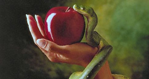 eb195847e0ca1aaee78e0a82cda35476