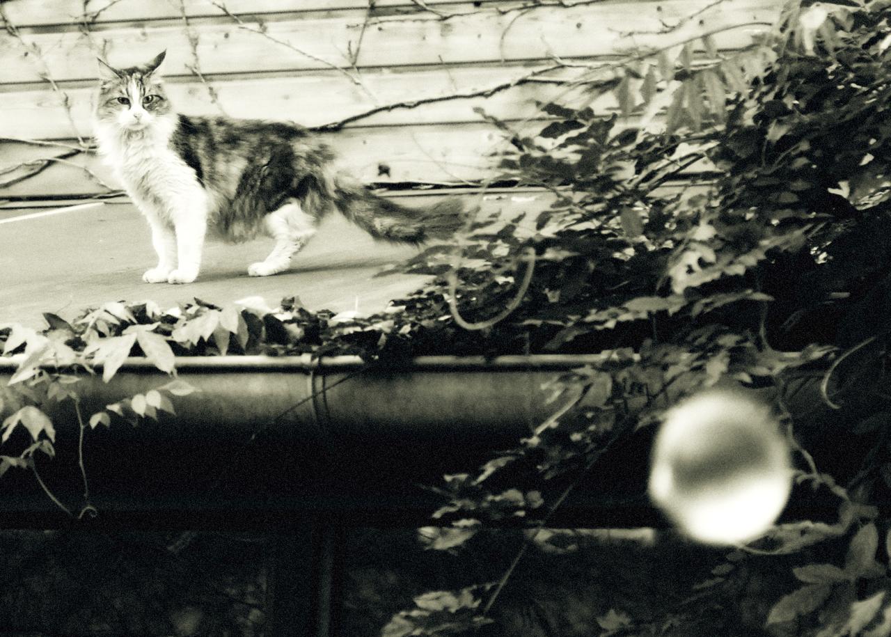 WhatsApp Image 2024-07-19 at 19.09.50