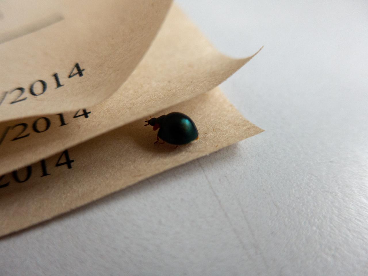 WhatsApp Image 2024-07-19 at 19.10.04