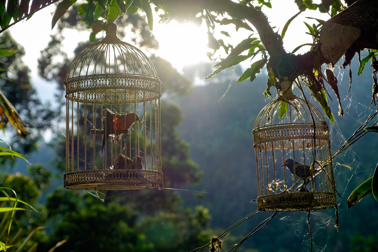 WhatsApp Image 2024-07-19 at 19.10.32