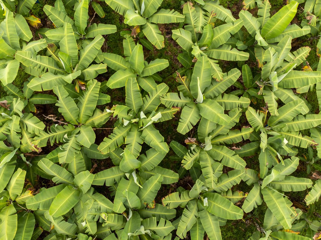 WhatsApp Image 2024-07-19 at 19.10.45