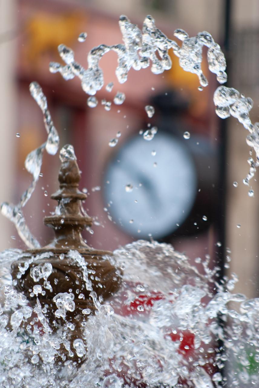 WhatsApp Image 2024-07-19 at 19.11.02