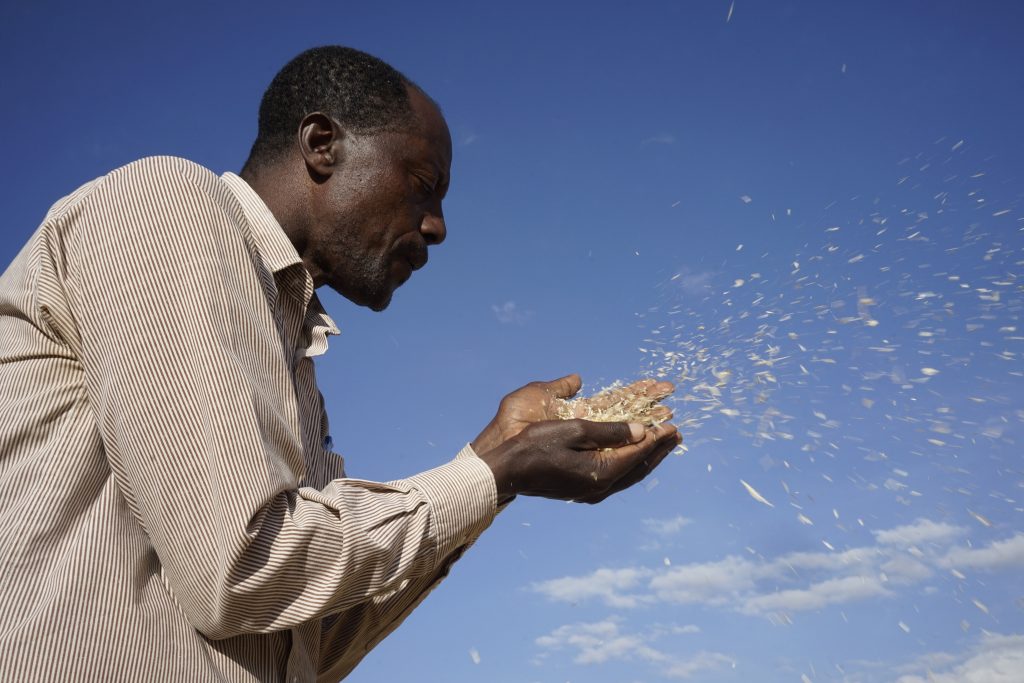 24520626072_d6a6a05978_o-1024x683